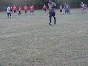 OTFL Gallery Image